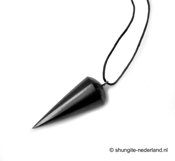 Shungite Pendel