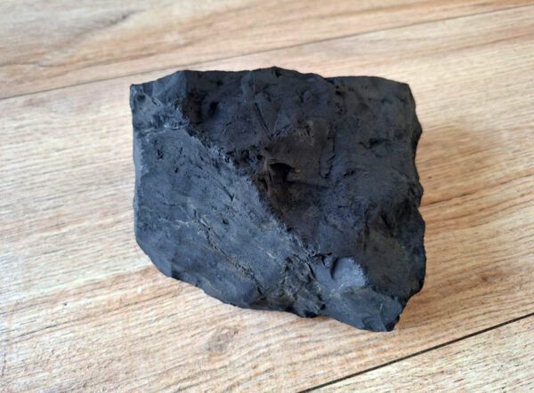 Grote Shungite steen