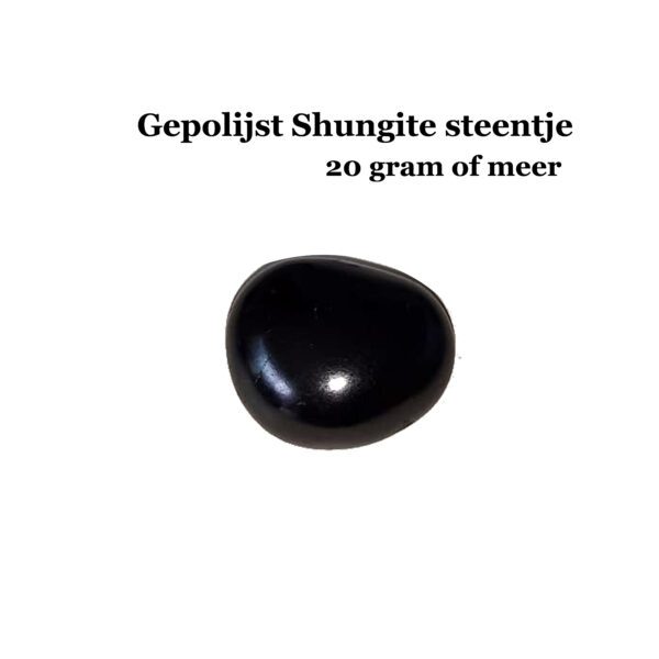 Gepolijst Shungite steentje 20 gram of meer