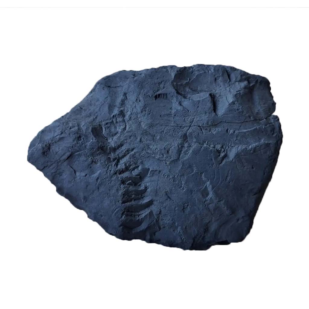 Grote Shungiet Stenen 12 Grote Shungite steen